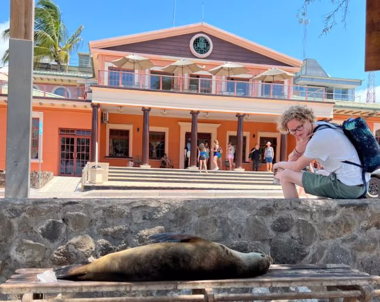 placeholder-xtension-galapagos