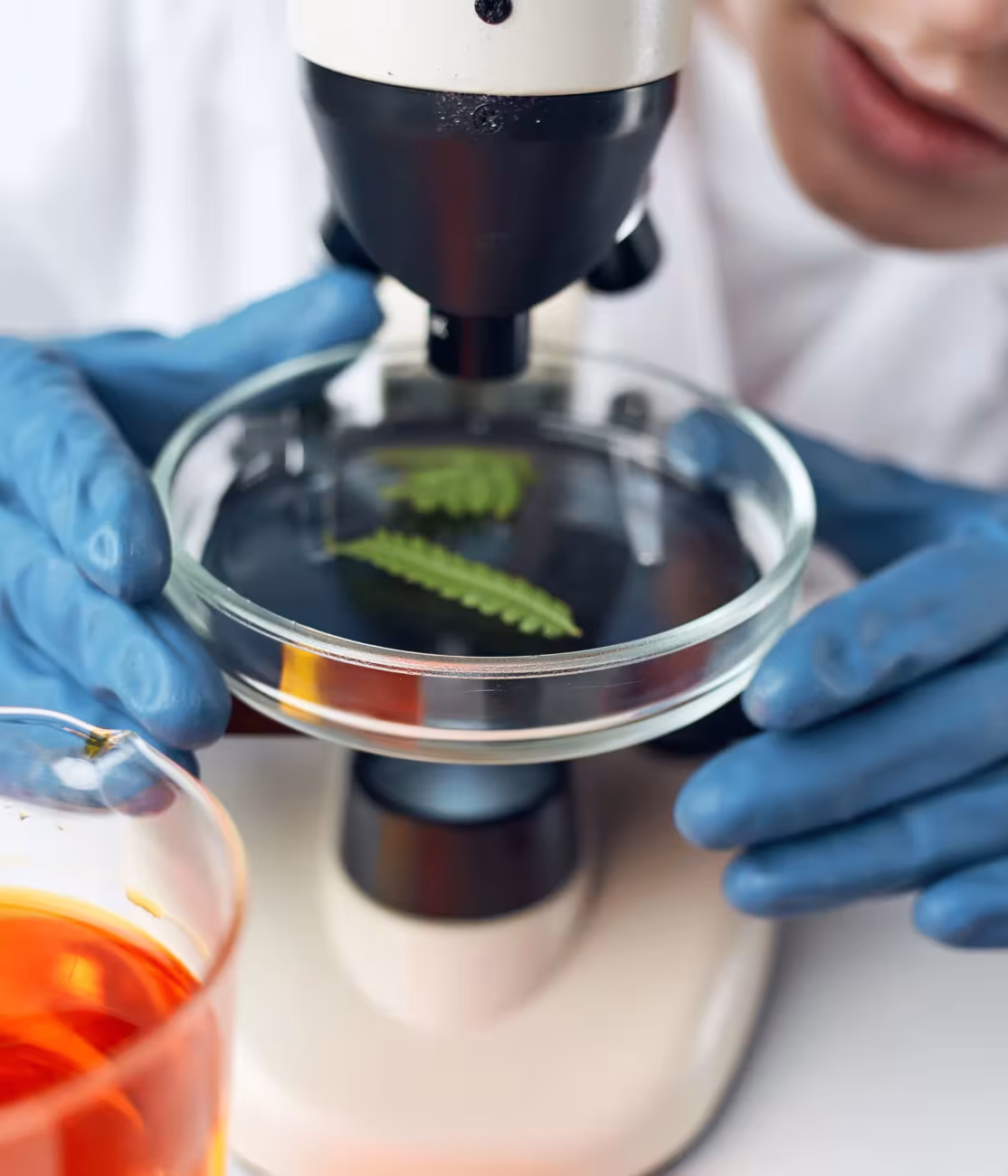 biologia