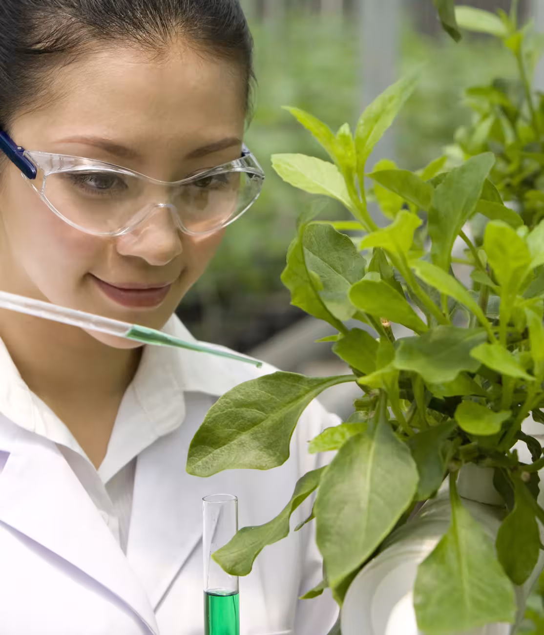 biodiversidad