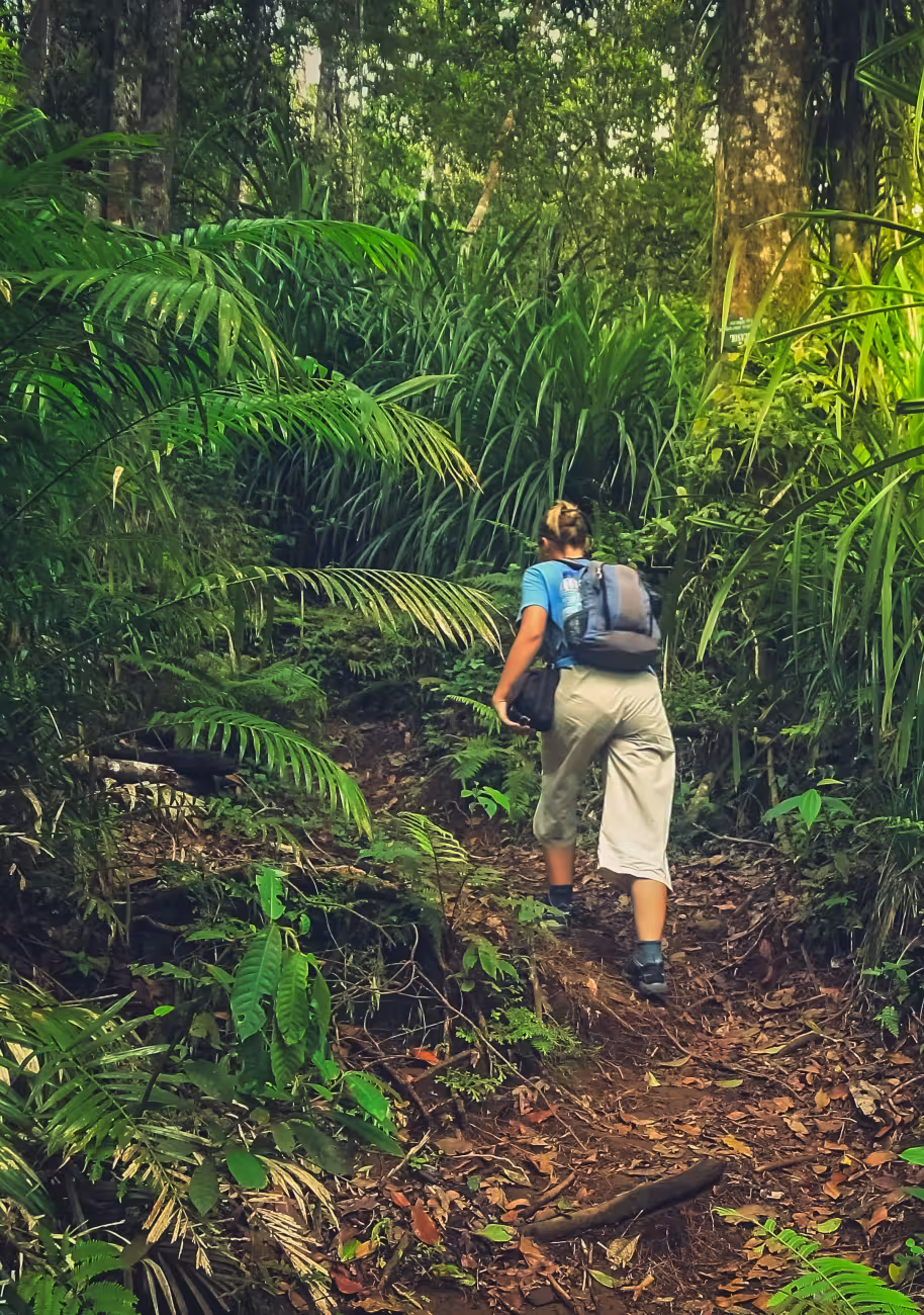 USFQ Maestría en Ecología Tropical y Conservación 01