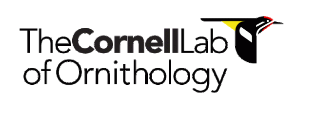 Cornell Lab