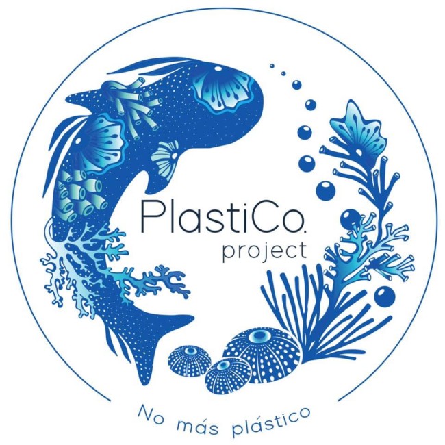 PlastiCo Project