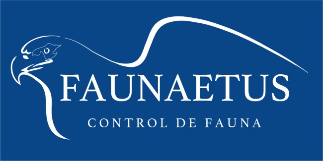 Faunaetus