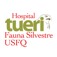 Tueri