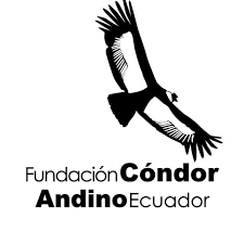 Fundación Condor Andino