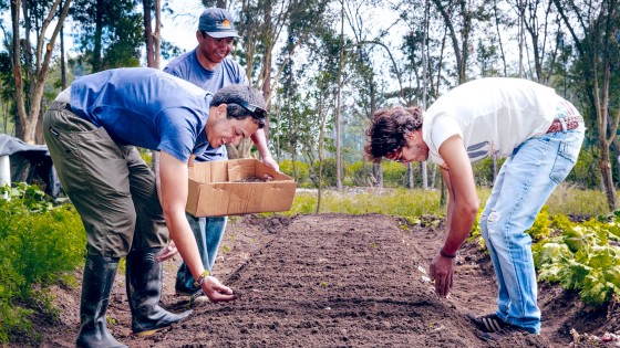 Ingeniería en Agronomía | Universidad San Francisco de Quito