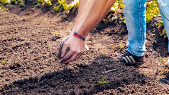 Banner Agronomía