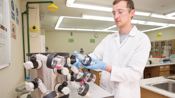 Banner Ciencia y tecnología de Alimentos