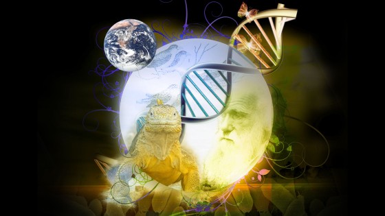 Banner Becas Charles Darwin