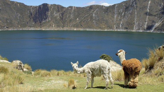 Turismo sustentable