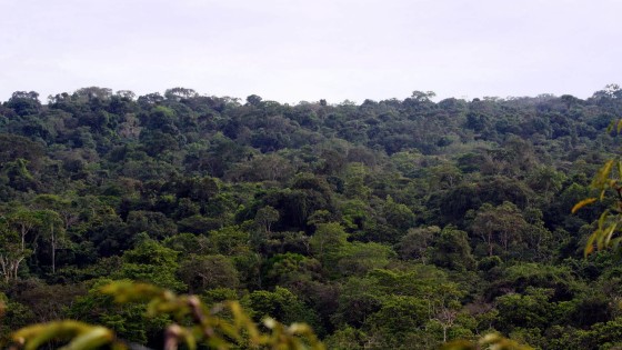 Maestría en Ecología Tropical y Conservación 6