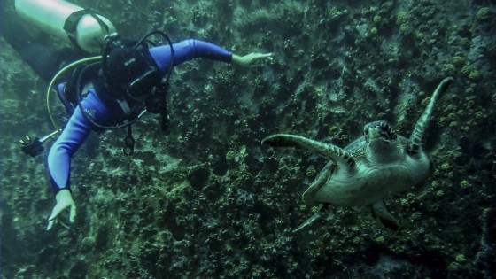 Curso 2x1 Buceo y filmación