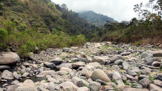Caso Río Dulcepamba