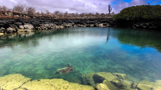 World Summit on Island Sustainability