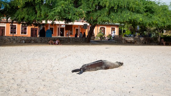 APRU SCL Annual Conference - Galapagos 2023