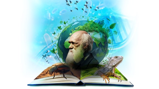 Beca Charles Darwin
