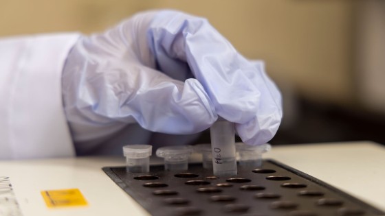 Banner Galápagos Santa Cruz - Carrera de Biología 4