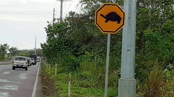 Galapagos Islands - Photo 3