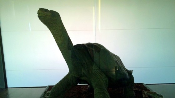 Galapagos Islands - Photo 6