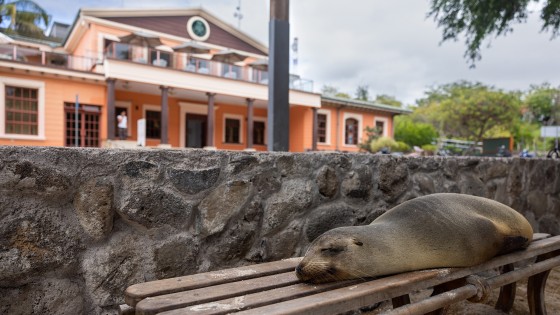USFQ Galápagos Sede Santa Cruz - Banner 4