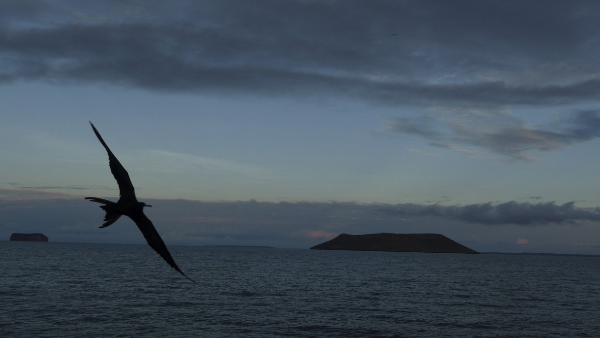 Galapagos World Summit on “Physics Beyond the Standard Model”