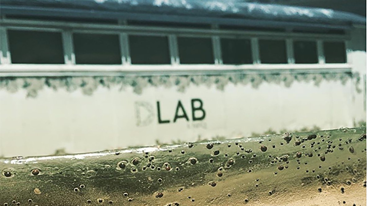 Portada DLab