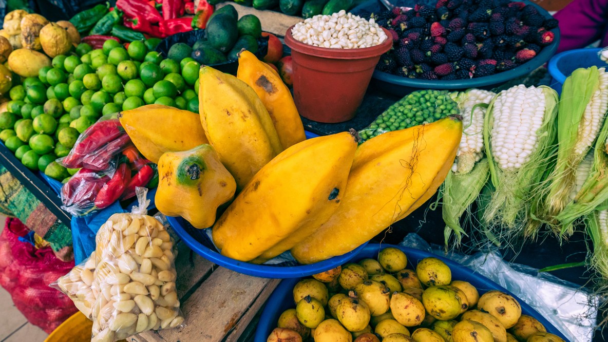Lanzamiento de la nueva clasificación de alimentos ecuatorianos