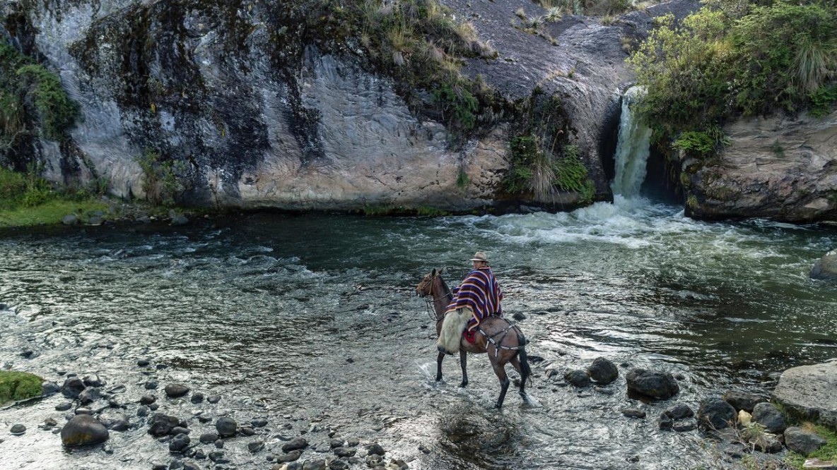 La vida de un río