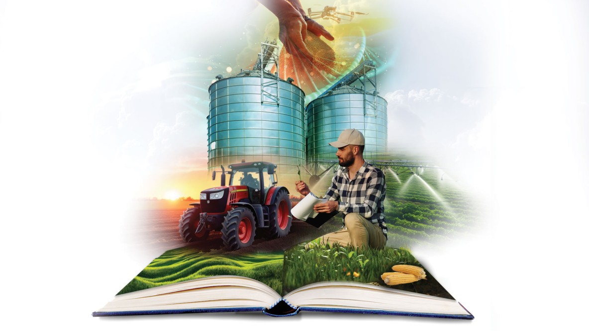 Norman Boulgelat 2025