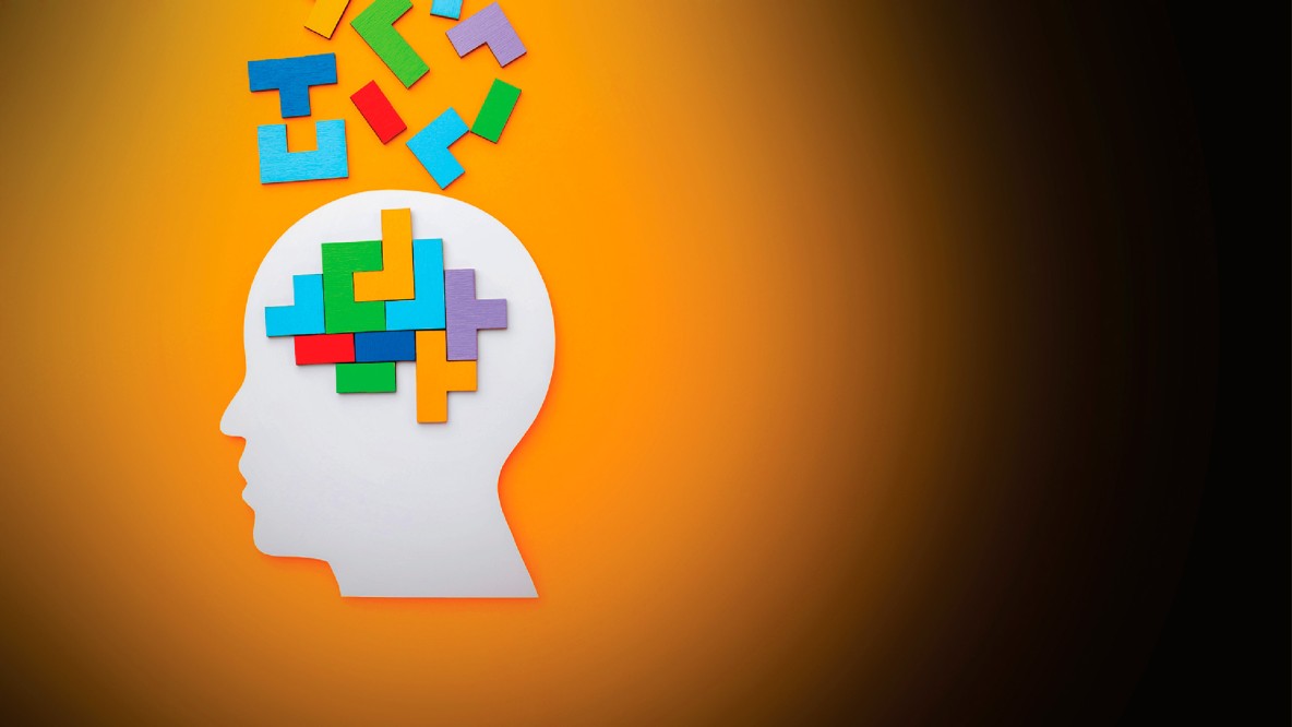 usfq-curso-educa-con-el-cerebro-en-mente-encuentros-virtuales-sobre-neuroeducacion