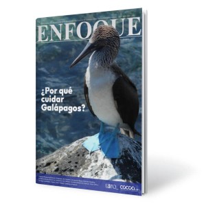 enfoque-82-octubre-2021.jpg