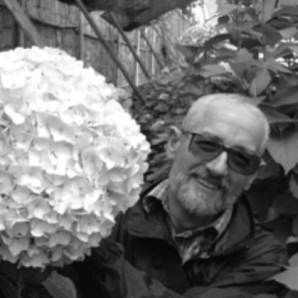 José Manzanares