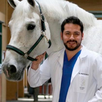 sebastian mejia