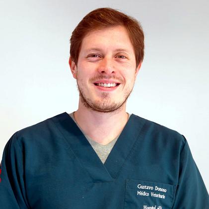 Gustavo Donoso Barrera